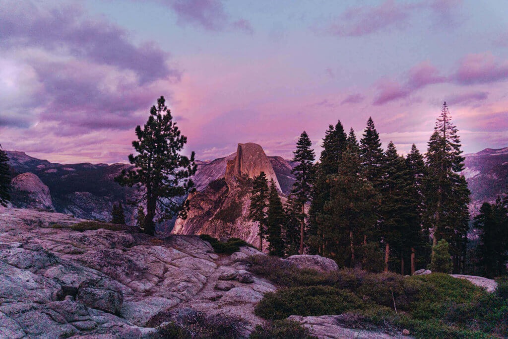 travel-forest-mountains