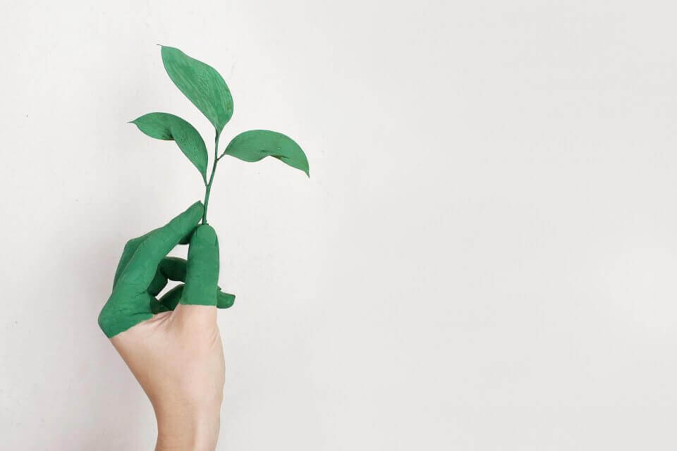 design-minimalism-green