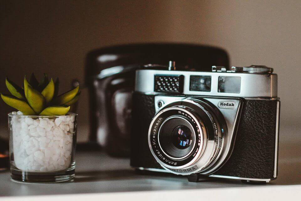 design-photography-flowers