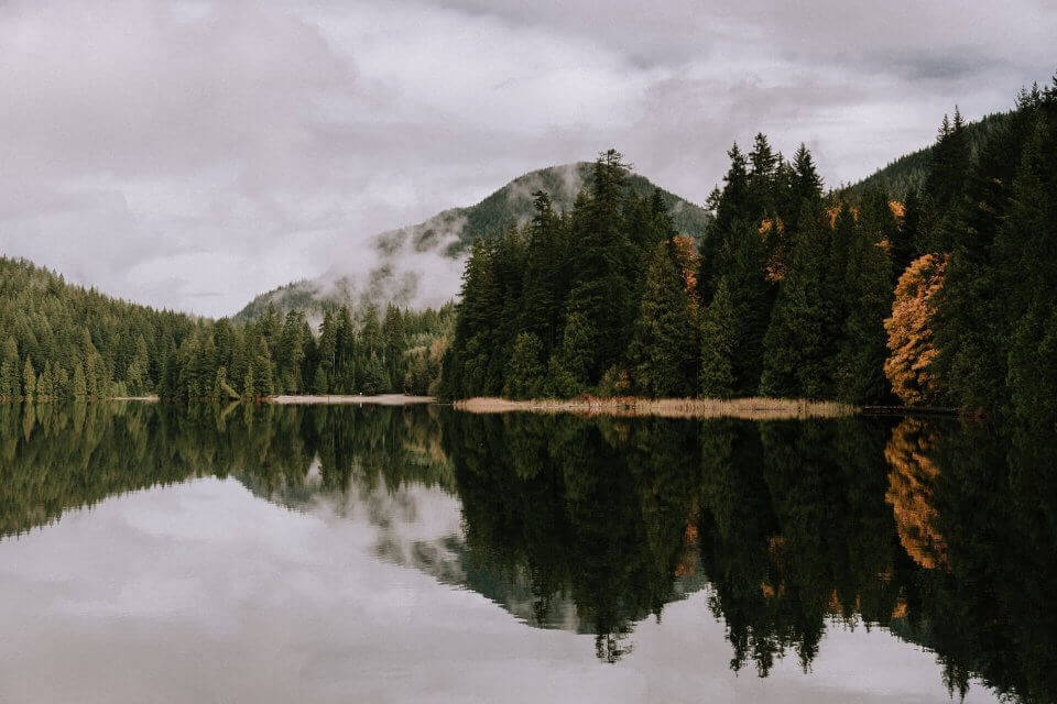 travel-forest-lake