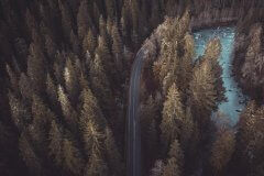 travel-forest-road